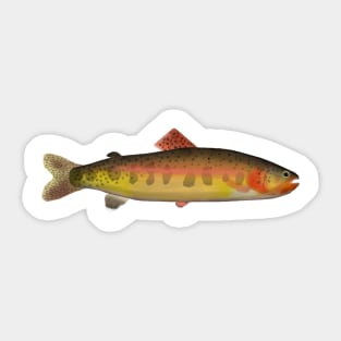 Golden Trout Sticker